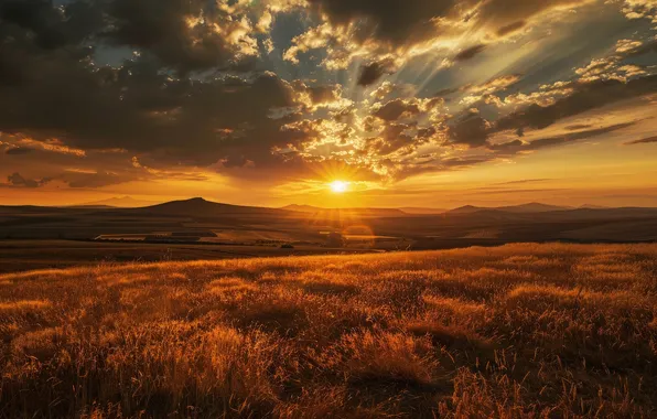 Field, the sky, grass, the sun, clouds, rays, sunset, mountains