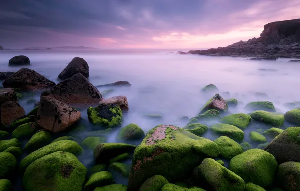 Sea, the sky, algae, sunset, fog, stones, rocks, shore