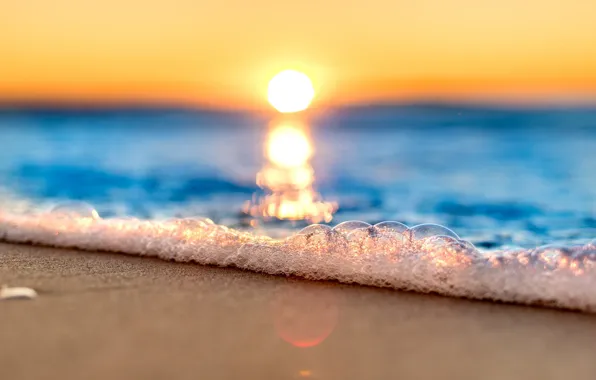 Sea, foam, the sun, shore, wave