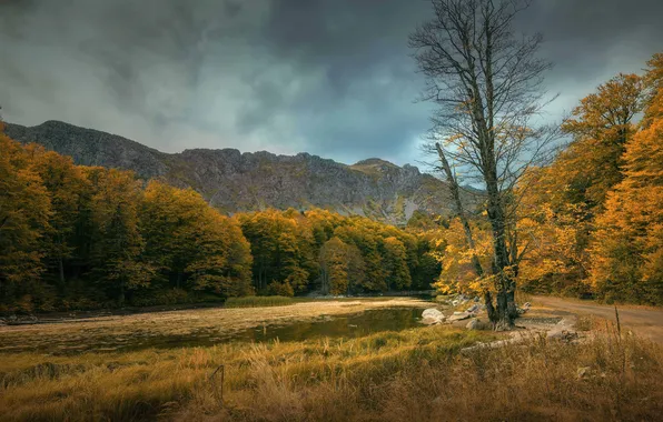 Field, autumn, forest, the sky, clouds, trees, mountains, the colors of autumn