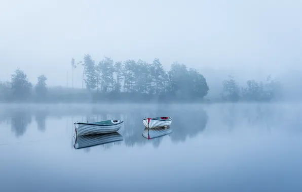 Fog, lake, boat