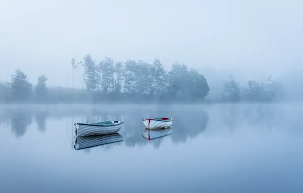 Fog, lake, boats