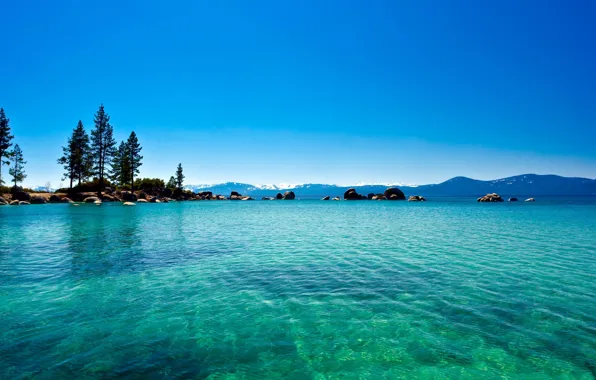 Forest, water, lake, blue, California, Lake Tahoe