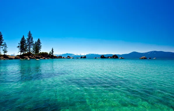 Picture forest, water, lake, California, blue, lake Tahoe