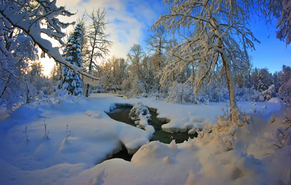 Picture winter, the sky, clouds, snow, landscape, sunset, nature, river
