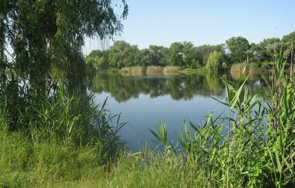 Picture the sky, landscape, river, IVA