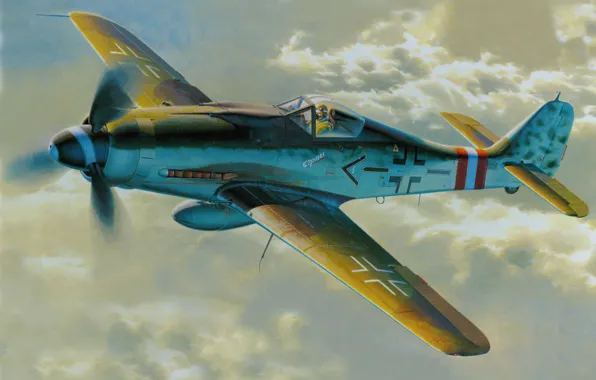 Picture figure, art, FW - 190D