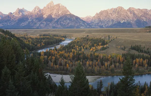 Forest, mountains, river