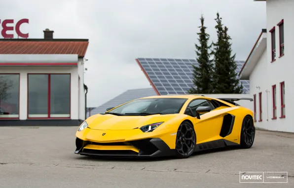 Picture Aventador, Vossen, Novitec, Torado, Lamborghini