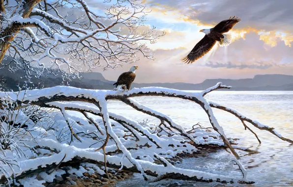 Winter, snow, flight, birds, branches, nature, tree, shore