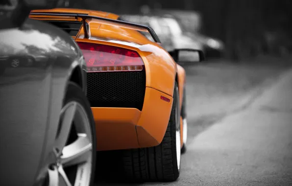 Picture photo, Auto, cars, Lamborghini murcielago