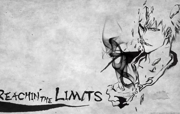 Bleach, bleach, Kurosaki Ichigo