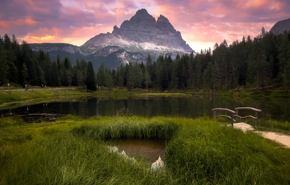 Forest, summer, the sky, grass, clouds, light, sunset, mountains