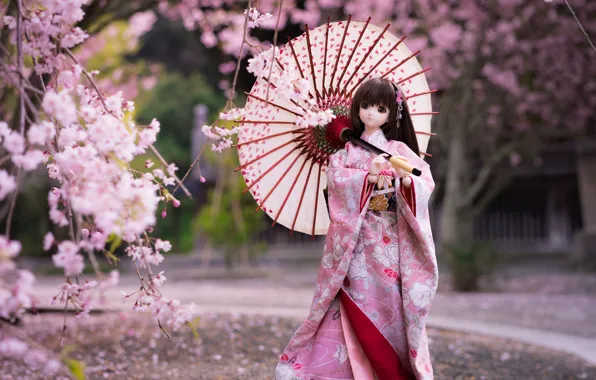 Umbrella, Japanese, doll, Sakura, kimono