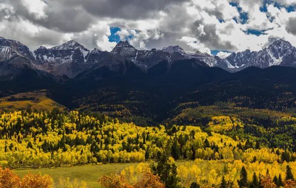 Autumn, forest, mountains, nature, beauty