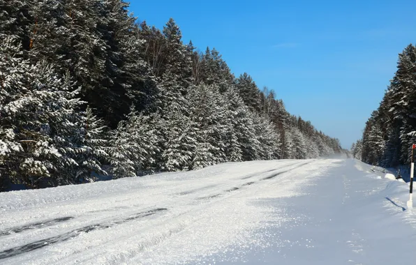 Picture winter, road, forest