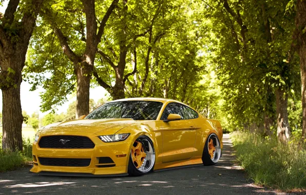 Mustang, Ford, Front, Yellow, Tuning, Stance, Wheels, 2015