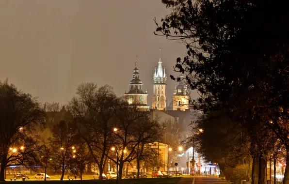 Trees, night, lights, castle, Poland, lights, Krakow, Wawel