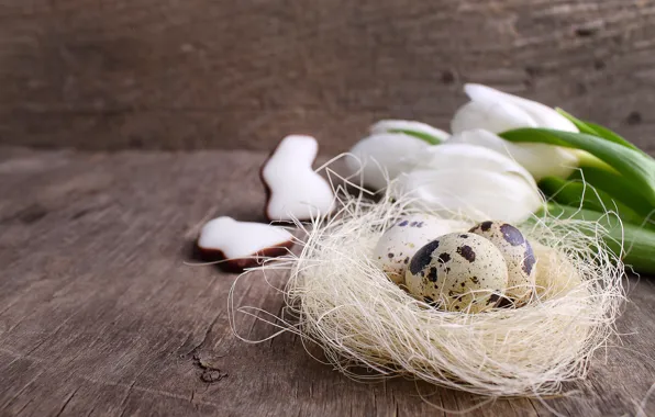 Holiday, eggs, Easter, socket, tulips