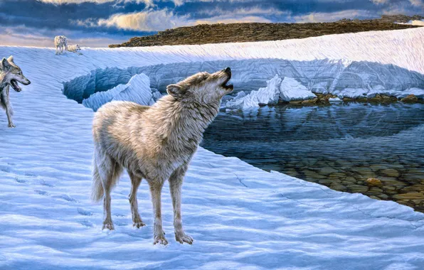 Winter, snow, wolf, picture, glacier, art, wolves, howl