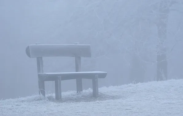 Winter, snow, bench, nature, mood, shop, benches, benches