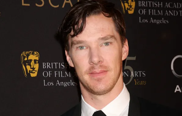 Bristles, Benedict Cumberbatch, Benedict Cumberbatch, British actor