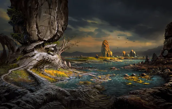 Picture landscape, stones, rocks, coast, art, rocky, Petrified, Dominique van Velsen