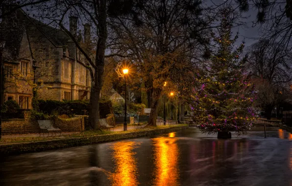 Trees, the city, river, tree, home, Christmas, lights, New year