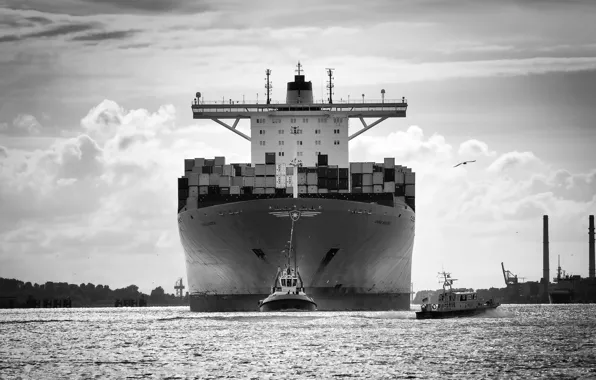 Port, The ship, Emma, A container ship, Tank, The pilot, Maersk, Maersk Line