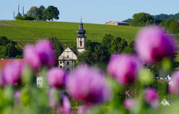 Summer, landscape, flowers, nature, Maki, Church, pink, lilac