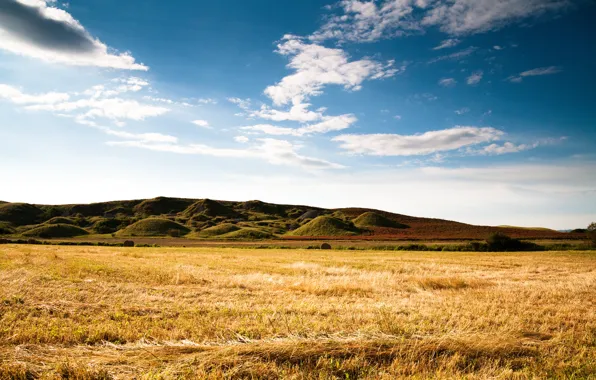 Field, summer, the sky, grass, clouds, mountains, nature