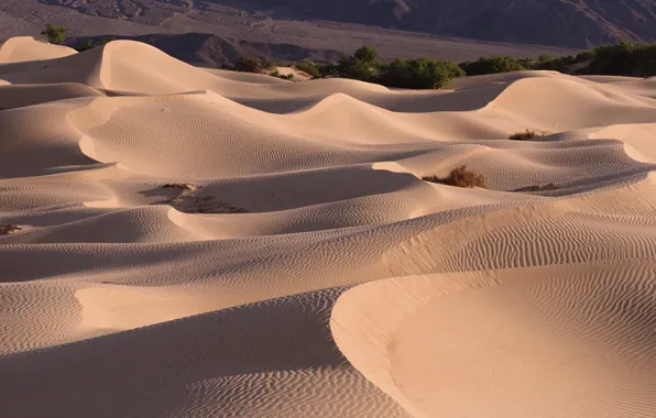 Sand, the dunes, desert