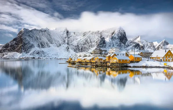 Nature, dreams, Sakrisøy