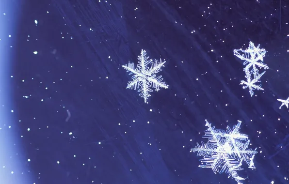 Winter, blue, Snowflakes