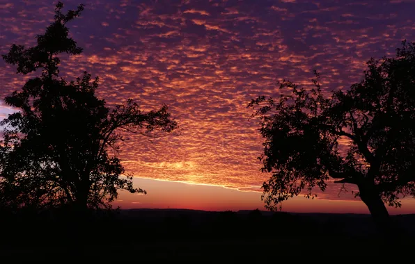 Sunset, evening, sun, sundown
