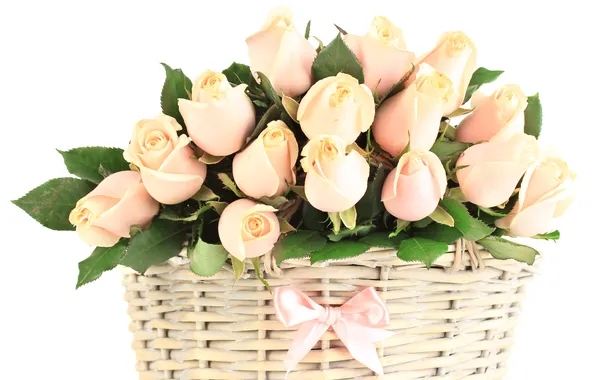 Picture basket, roses, buds, bow