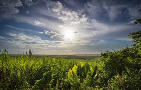 Picture Philippines, Philippines, Cebu Island