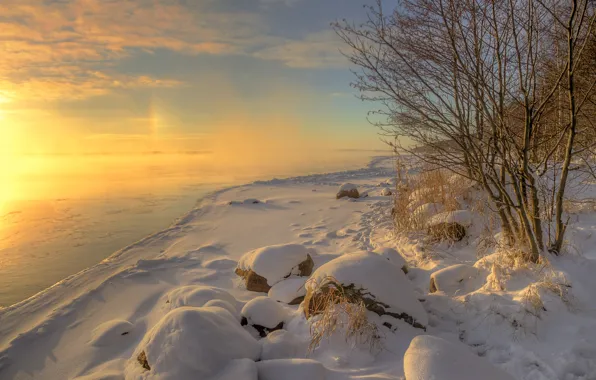 Picture winter, grass, water, the sun, snow, trees, landscape, nature