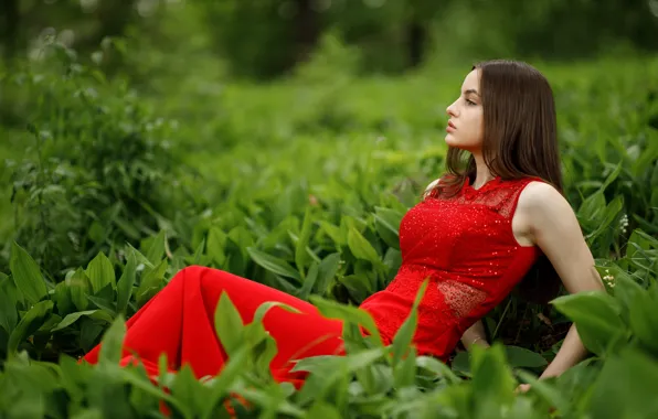 Girl, pose, red dress, Sergey Sergeev