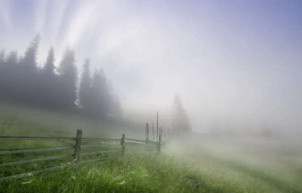 Landscape, fog, the fence