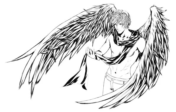 Picture black and white, wings, scarf, Angel, guy