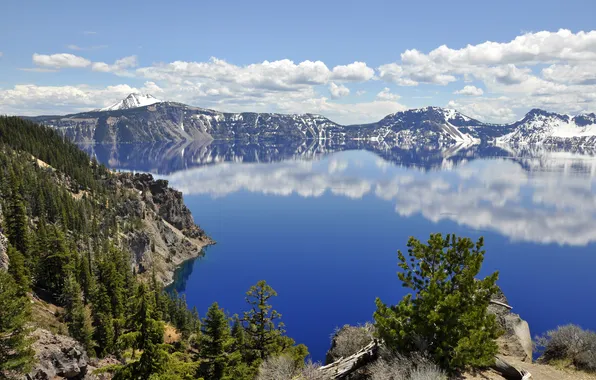Picture forest, mountains, nature, lake, Oregon, Crater Lake