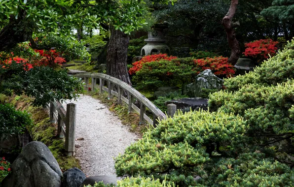 Trees, bridge, stones, garden, the bushes