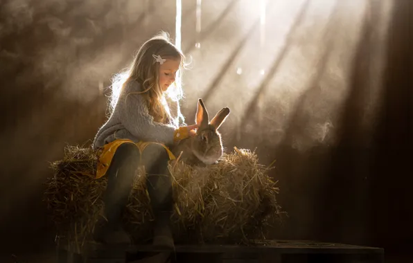 Picture rays, rabbit, hay, girl, friends
