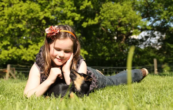 Nature, Girl, Puppy, Mood