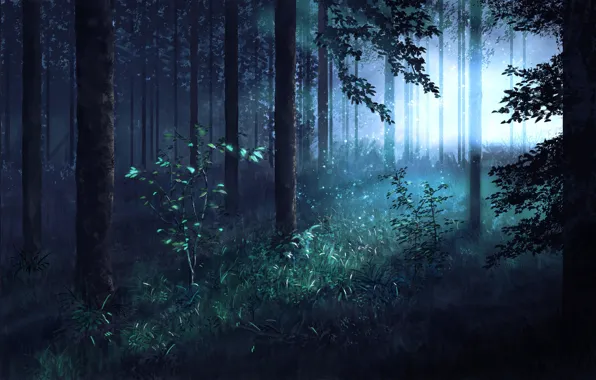 Picture forest, trees, morning