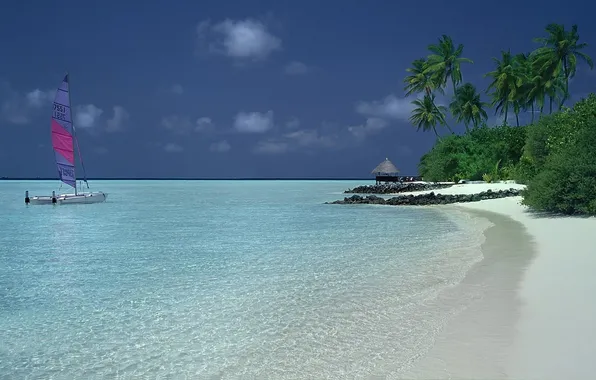 Beach, tropics, palm trees, the ocean, coast, boat, sail, Bungalow