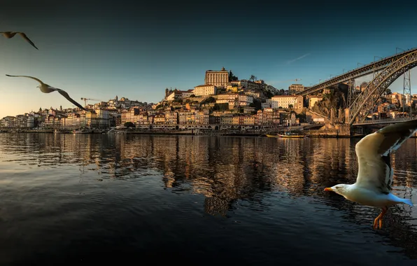 Landscape, birds, bridge, boat, home, panorama, Portugal, Porto