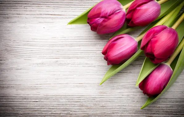 Flowers, bouquet, fresh, wood, pink, flowers, beautiful, tulips