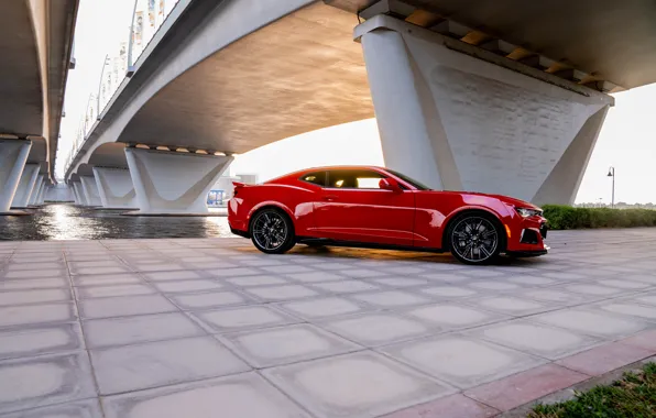 Picture Chevrolet, Camaro, Chevrolet Camaro ZL1, side view